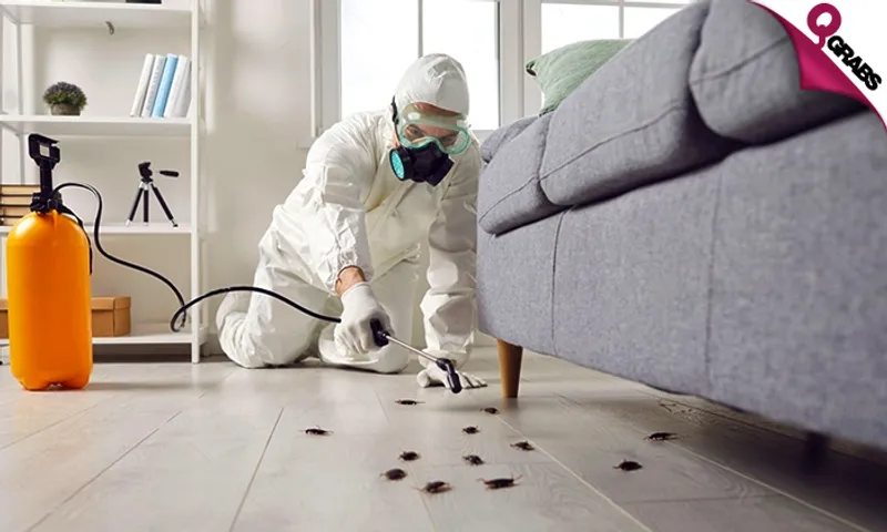 Interior OR Exterior Pest Control Services!
